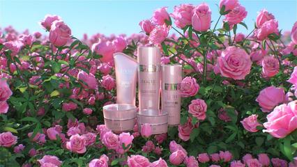 玫瑰花与三维场景 Skycaier文教用品的创意融合